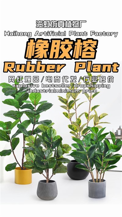 Atifisyèl Ficus Elastica
