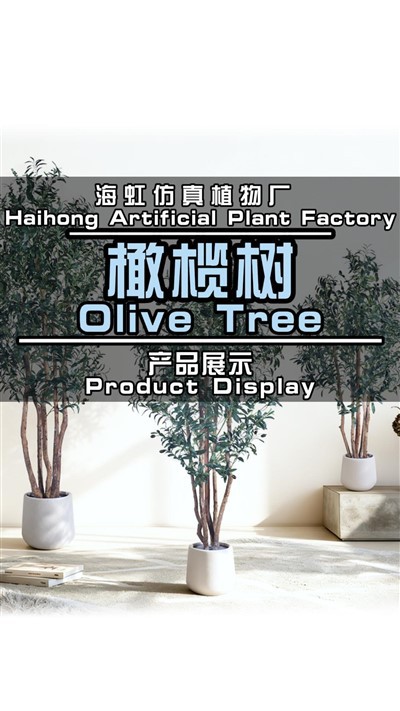 Atifisyèl oliv Tree ak po
