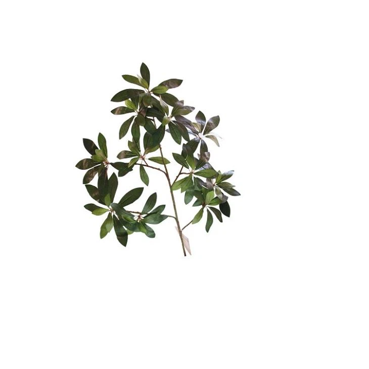 Artificial Baobab Tree Small Leaf