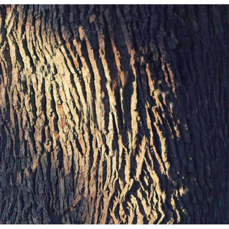Artificial Red Oak Tree
