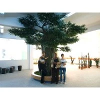Ansyen Banyan atifisyèl Tree pou Décoration poto