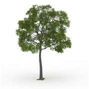 Pye atifisyèl Pagode