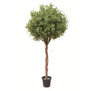 Simulation Tree Tree